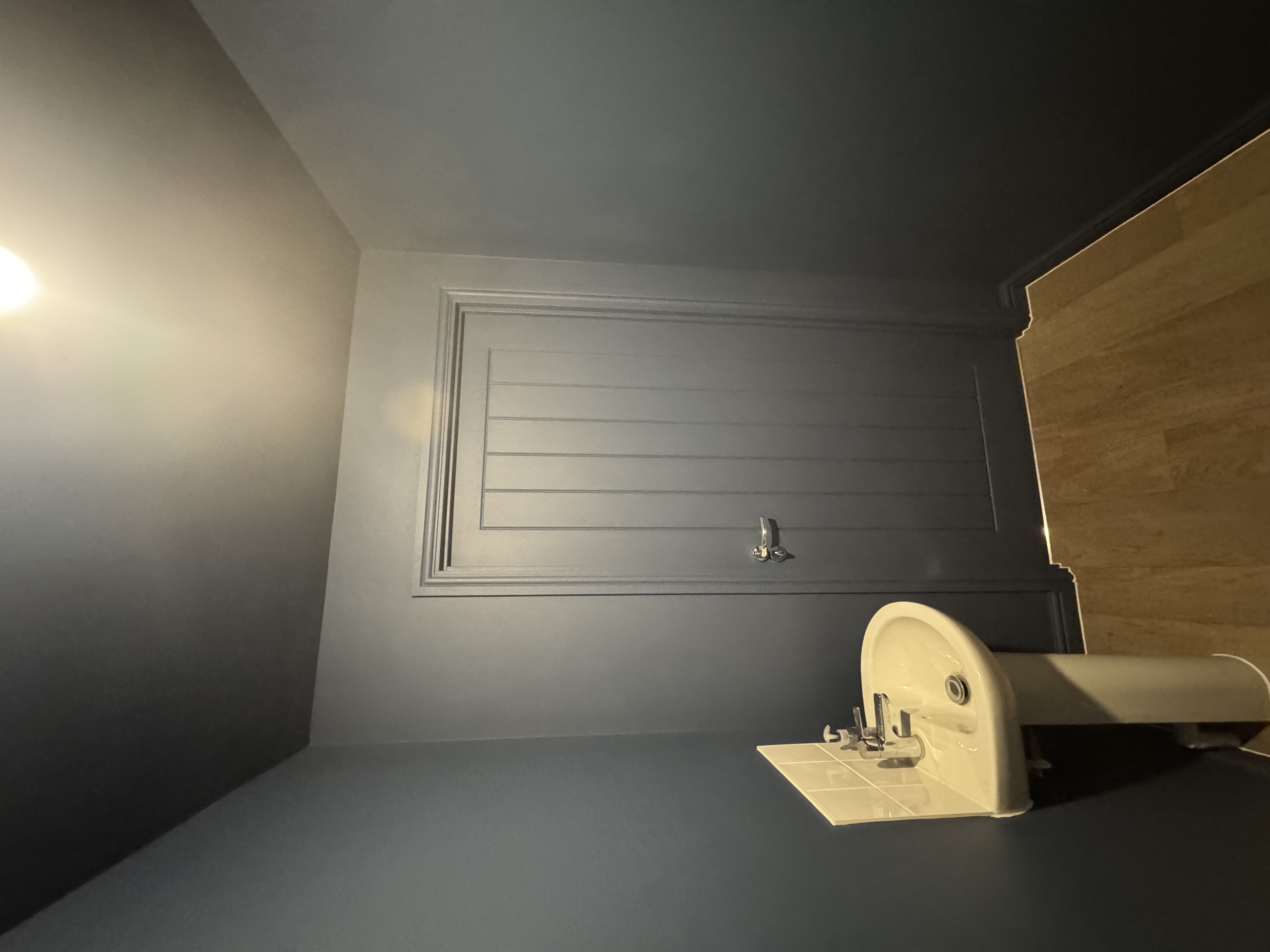 Bathroom with navy walls and matching painted door